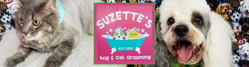 Suzette's Dog And Cat Grooming